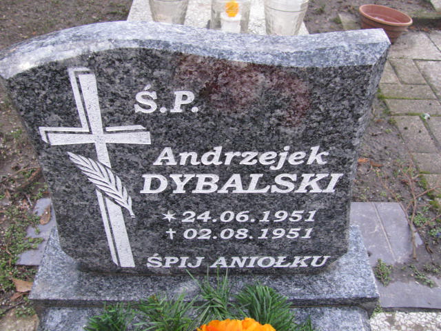 Andrzej Dybalski 1951 Żary CK 4986 - Grobonet - Wyszukiwarka osób pochowanych