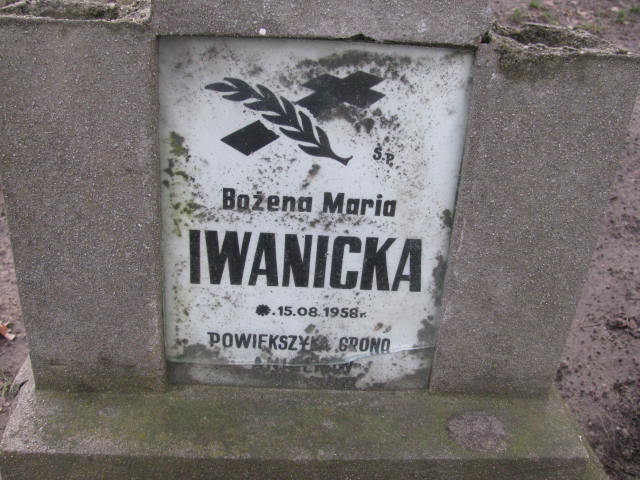 Bożena Maria Iwanicka 1958 Żary CK 4986 - Grobonet - Wyszukiwarka osób pochowanych
