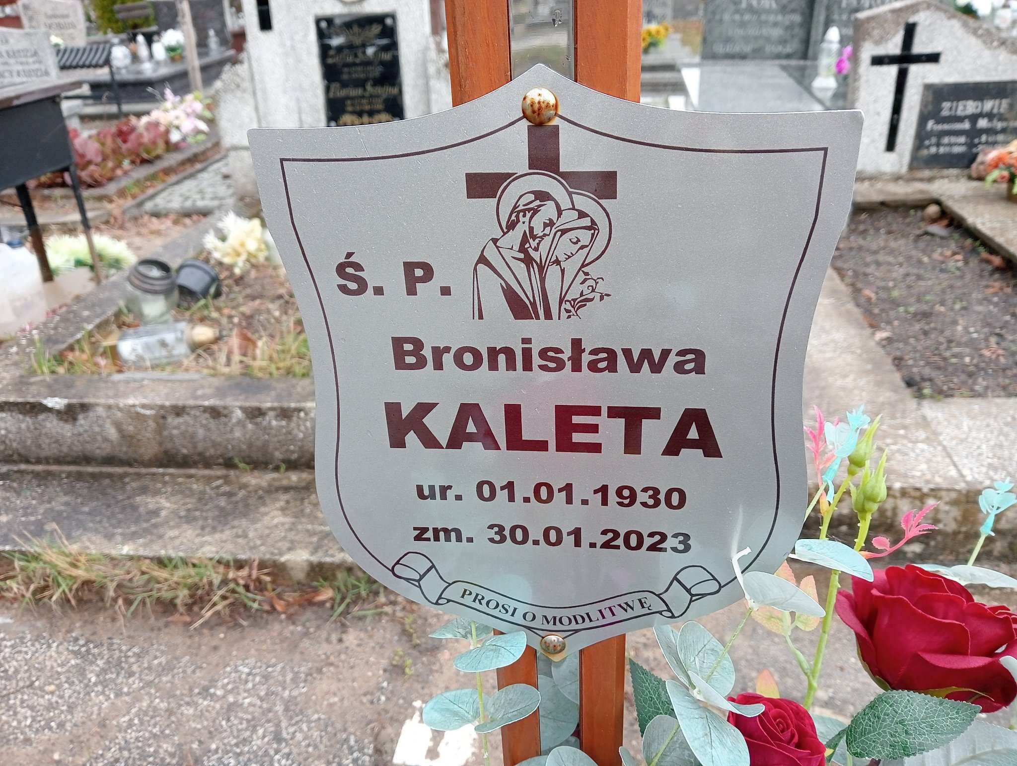 Bronisława Kaleta 1930 Żary CK 4986 - Grobonet - Wyszukiwarka osób pochowanych