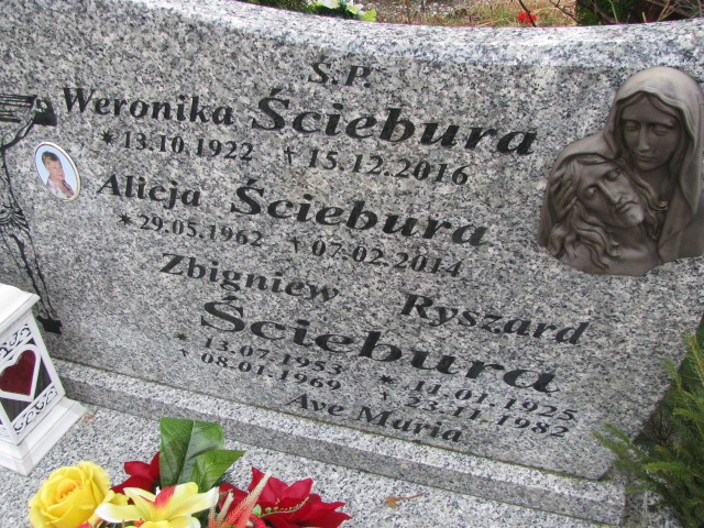 Weronika Ściebura 1922 Żary CK 4986 - Grobonet - Wyszukiwarka osób pochowanych