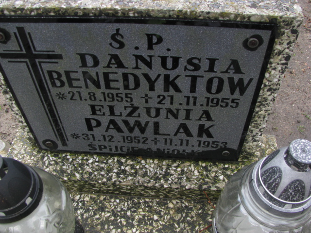 Danuta Benedyktow 1955 Żary CK 4986 - Grobonet - Wyszukiwarka osób pochowanych