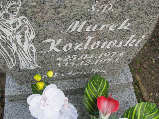 Marek Kozłowski 1974 Żary CK 4986 - Grobonet - Wyszukiwarka osób pochowanych