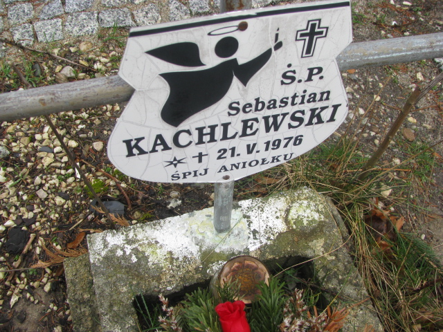 Sebastian Kachlewski 1976 Żary CK 4986 - Grobonet - Wyszukiwarka osób pochowanych