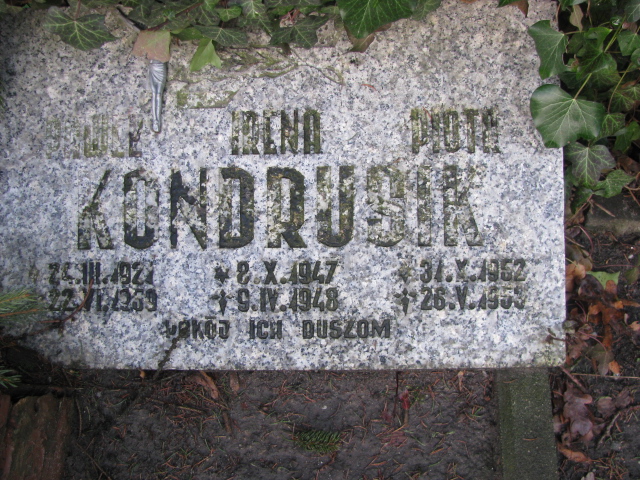 Piotr Kondrusik 1952 Żary CK 4986 - Grobonet - Wyszukiwarka osób pochowanych