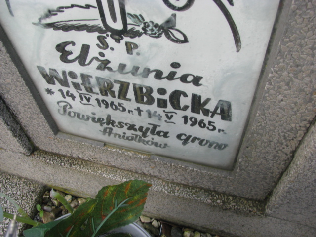 Dariusz Wierzbicki 1967 Żary CK 4986 - Grobonet - Wyszukiwarka osób pochowanych