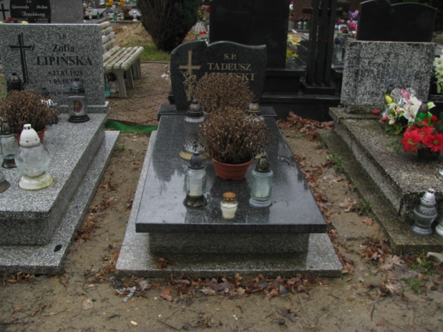Grób Tadeusz Lipiński