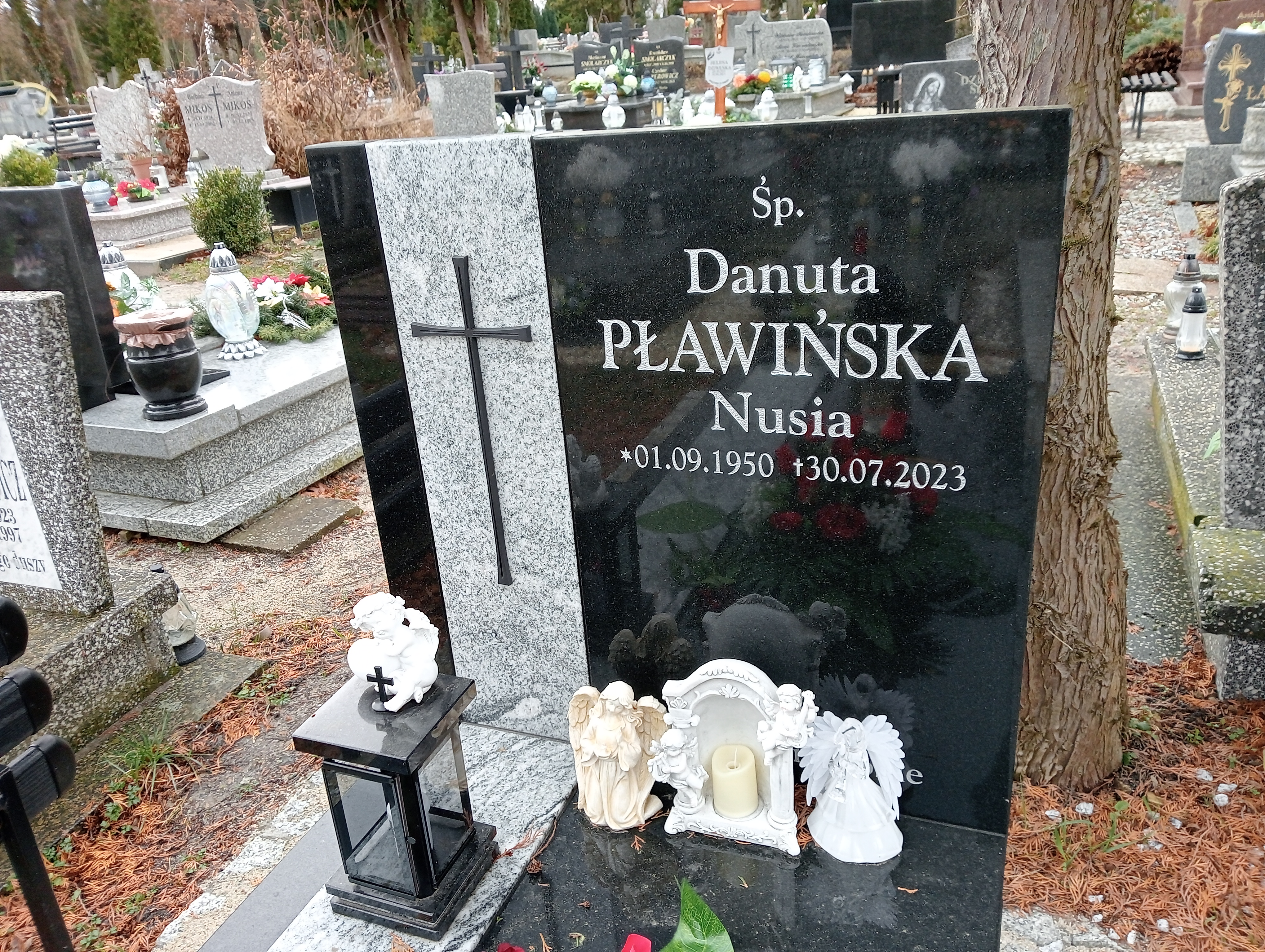 Leszek Pławiński 1949 Żary CK 4986 - Grobonet - Wyszukiwarka osób pochowanych