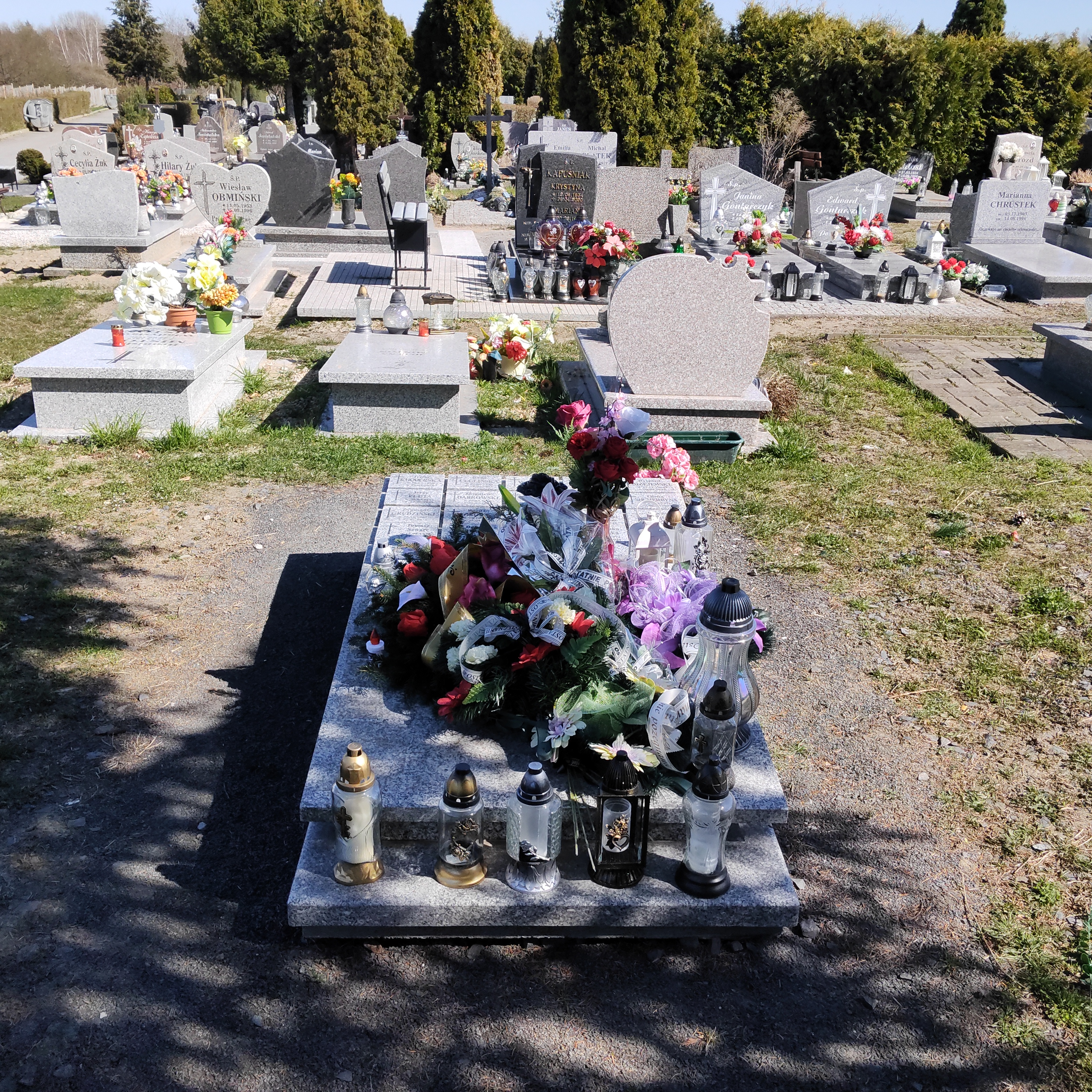 Zbigniew Dąbrowski 1961 Żary CK 4986 - Grobonet - Wyszukiwarka osób pochowanych