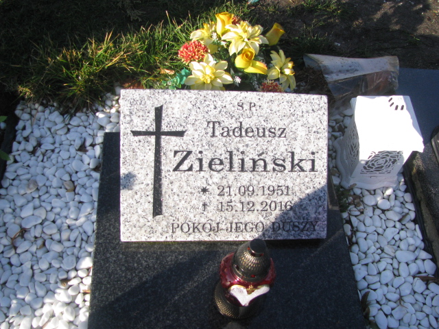 Tadeusz Zieliński 1951 Żary CK 4986 - Grobonet - Wyszukiwarka osób pochowanych