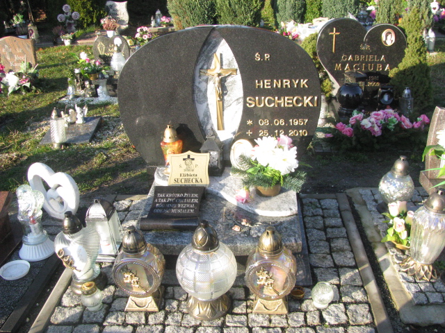 Grób Henryk Suchecki