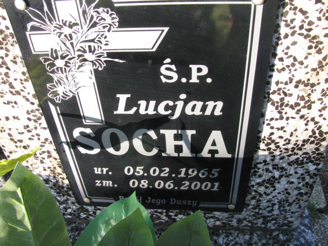 Lucjan Socha 1965 Żary CK 4986 - Grobonet - Wyszukiwarka osób pochowanych