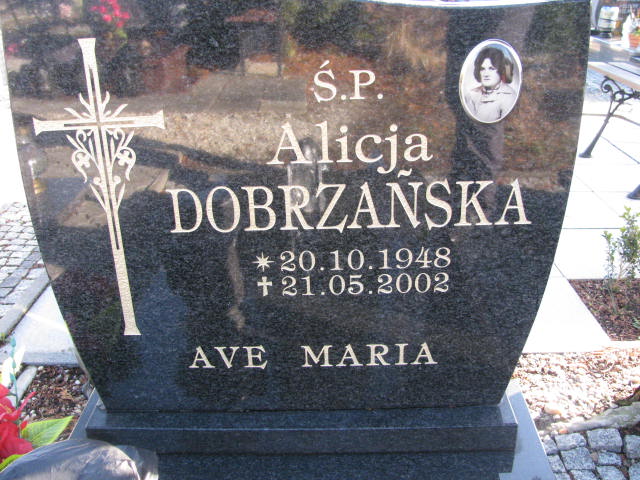 Alicja Dobrzańska 1948 Żary CK 4986 - Grobonet - Wyszukiwarka osób pochowanych