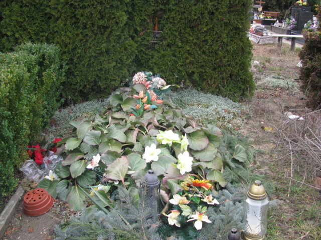 Grób Anatol Doronin