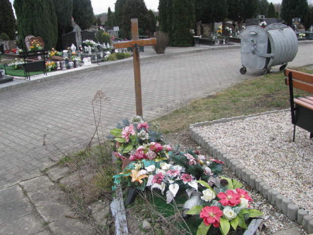 Jerzy Stępień 1953 Żary CK 4986 - Grobonet - Wyszukiwarka osób pochowanych