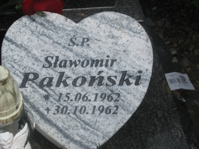 Stanisław Pakoński 1928 Żary CK 4986 - Grobonet - Wyszukiwarka osób pochowanych