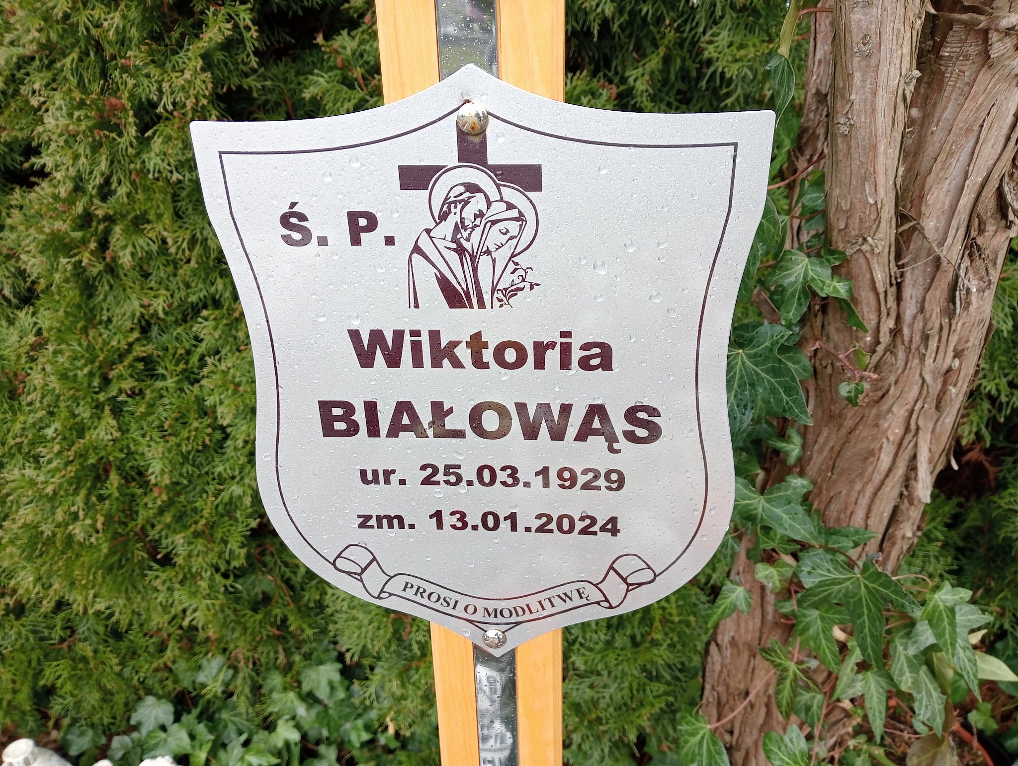 Wiktoria Białowąs 1929 Żary CK 4986 - Grobonet - Wyszukiwarka osób pochowanych