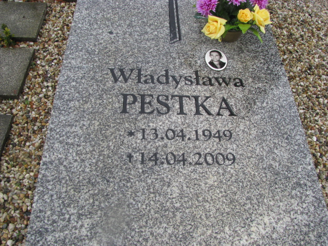 Władysława Pestka 1949 Żary CK 4986 - Grobonet - Wyszukiwarka osób pochowanych