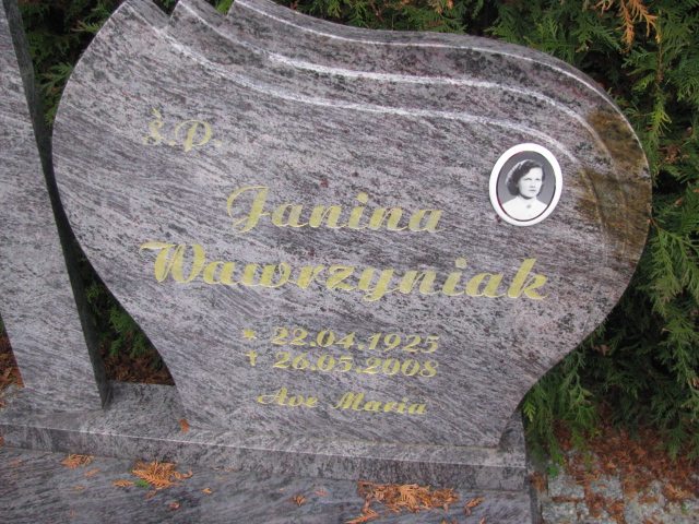  Wawrzyniak 1925 Żary CK 4986 - Grobonet - Wyszukiwarka osób pochowanych