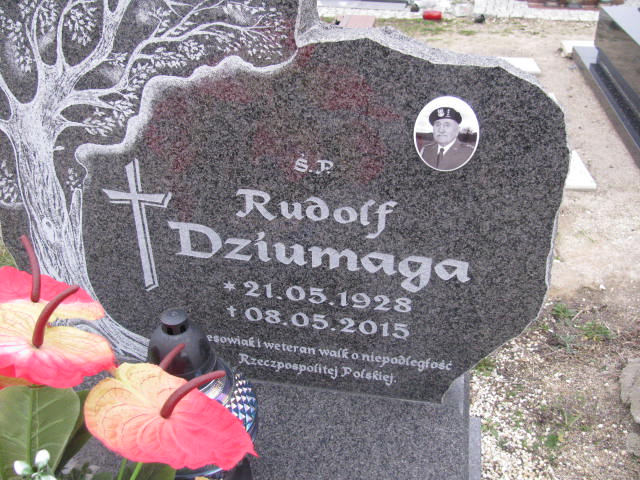 Rudolf Dziumaga 1928 Żary CK 4986 - Grobonet - Wyszukiwarka osób pochowanych