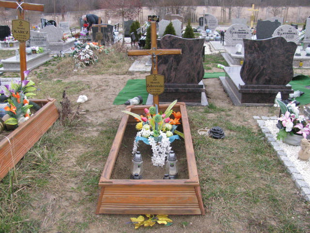 Grób Henryk Żebrowski