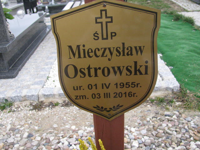 Mieczysław Ostrowski 1955 Żary CK 4986 - Grobonet - Wyszukiwarka osób pochowanych