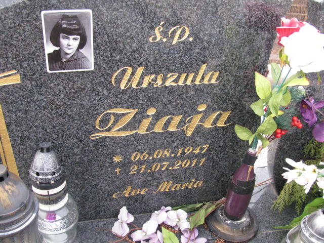 Kajetan Ziaja 1947 Żary CK 4986 - Grobonet - Wyszukiwarka osób pochowanych