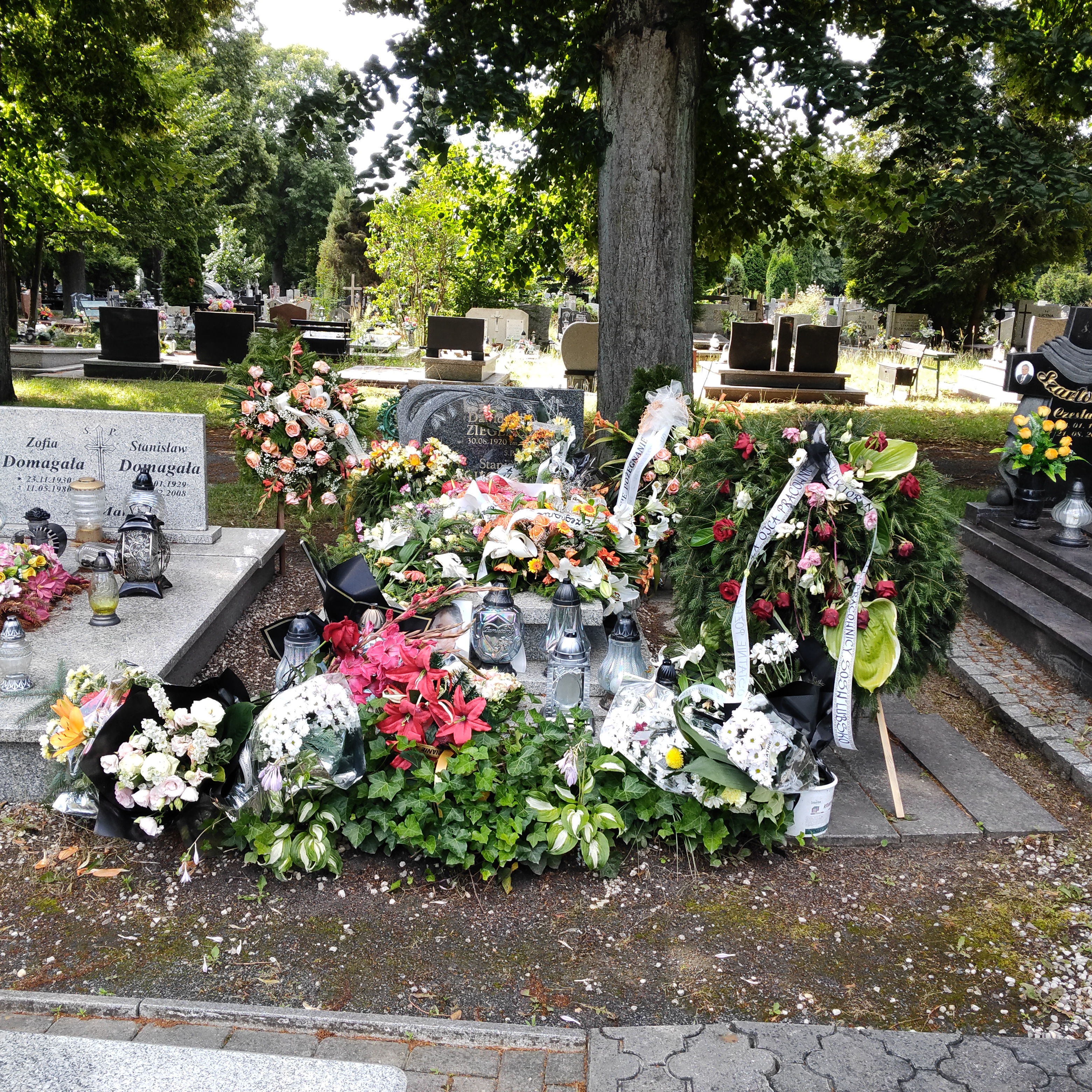 Grób Dawid Ziegenlaub