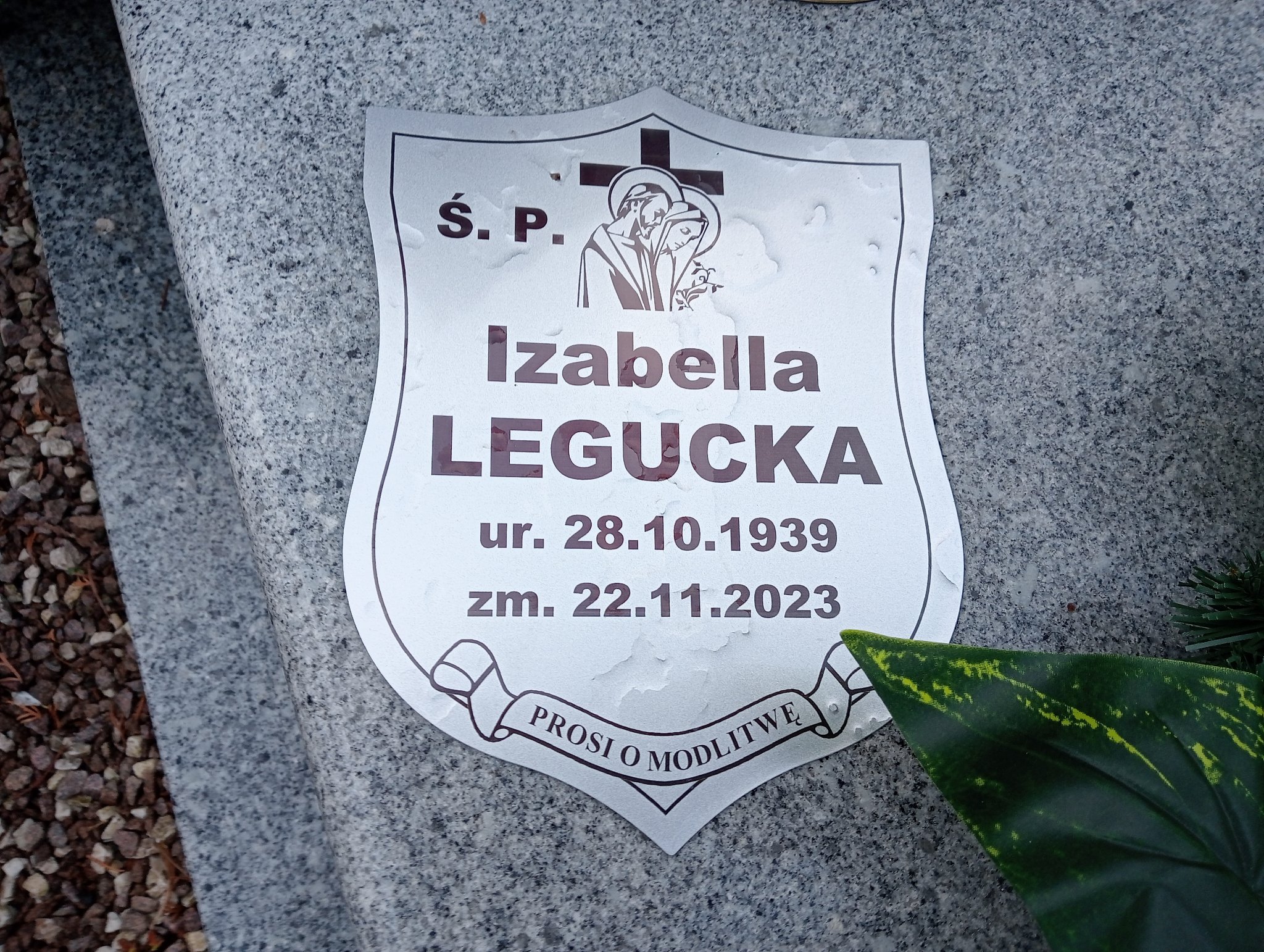 Leokadia Bosko 1927 Żary CK 4986 - Grobonet - Wyszukiwarka osób pochowanych