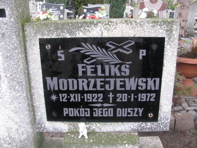 Feliks Modrzejewski 1922 Żary CK 4986 - Grobonet - Wyszukiwarka osób pochowanych