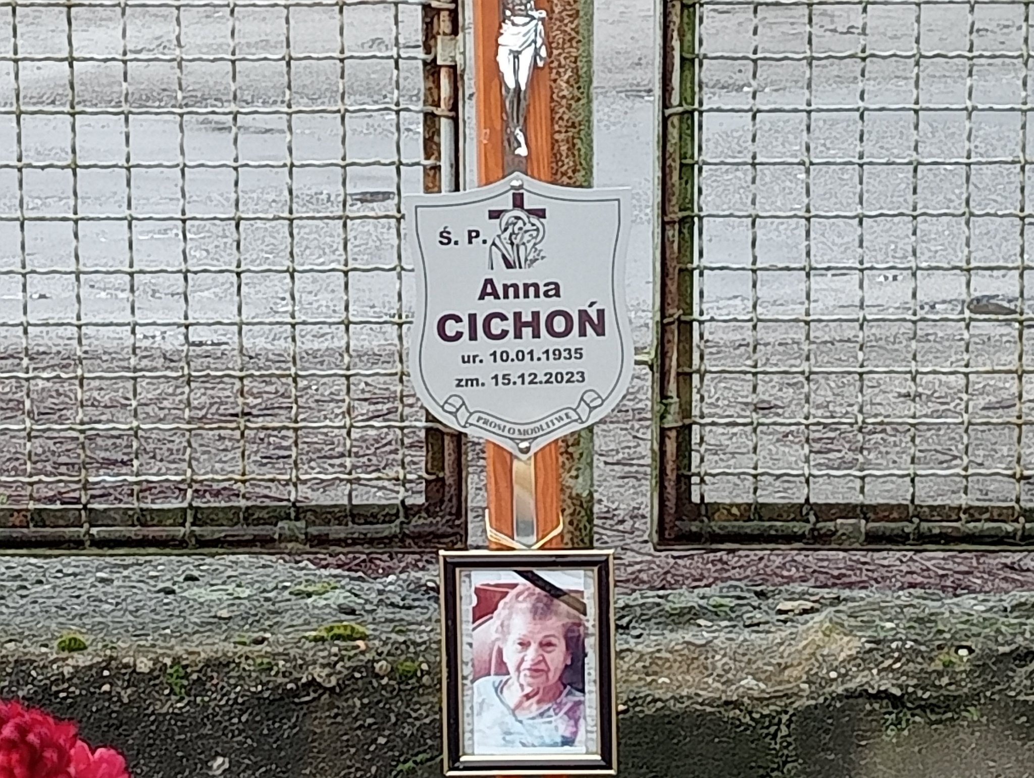 Anna Cichoń 1935 Żary CK 4986 - Grobonet - Wyszukiwarka osób pochowanych