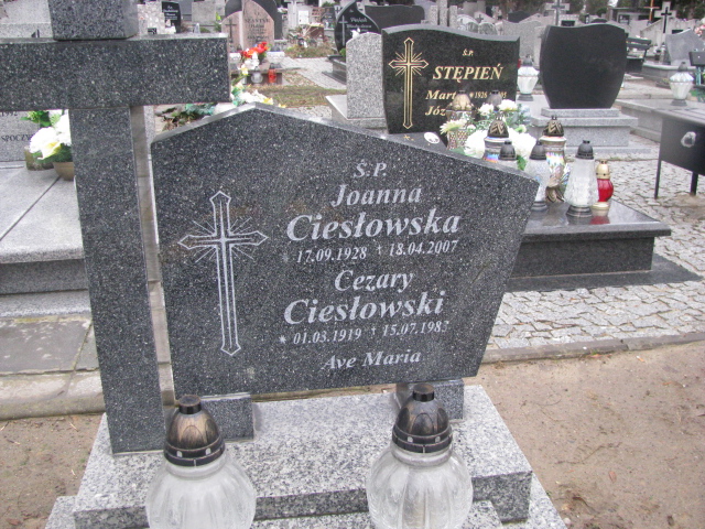 Joanna Ciesłowska 1928 Żary CK 4986 - Grobonet - Wyszukiwarka osób pochowanych