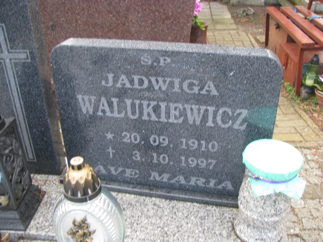 Stanisław Walukiewicz 1917 Żary CK 4986 - Grobonet - Wyszukiwarka osób pochowanych