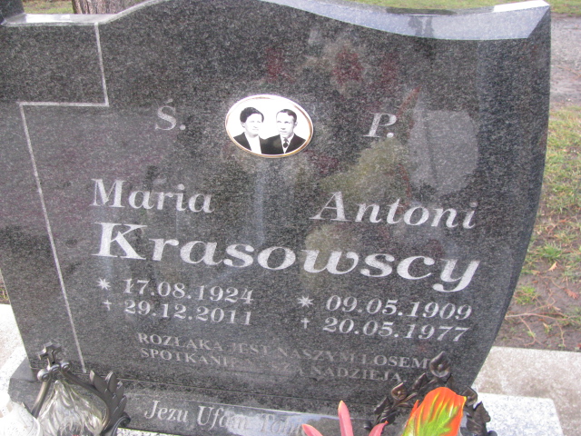 Antoni Krasowski 1909 Żary CK 4986 - Grobonet - Wyszukiwarka osób pochowanych