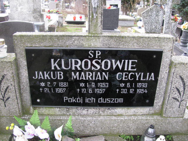 Zygmunt Kuros 1951 Żary CK 4986 - Grobonet - Wyszukiwarka osób pochowanych