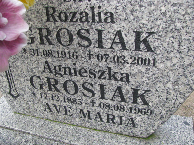 Agnieszka Grosiak 1885 Żary CK 4986 - Grobonet - Wyszukiwarka osób pochowanych