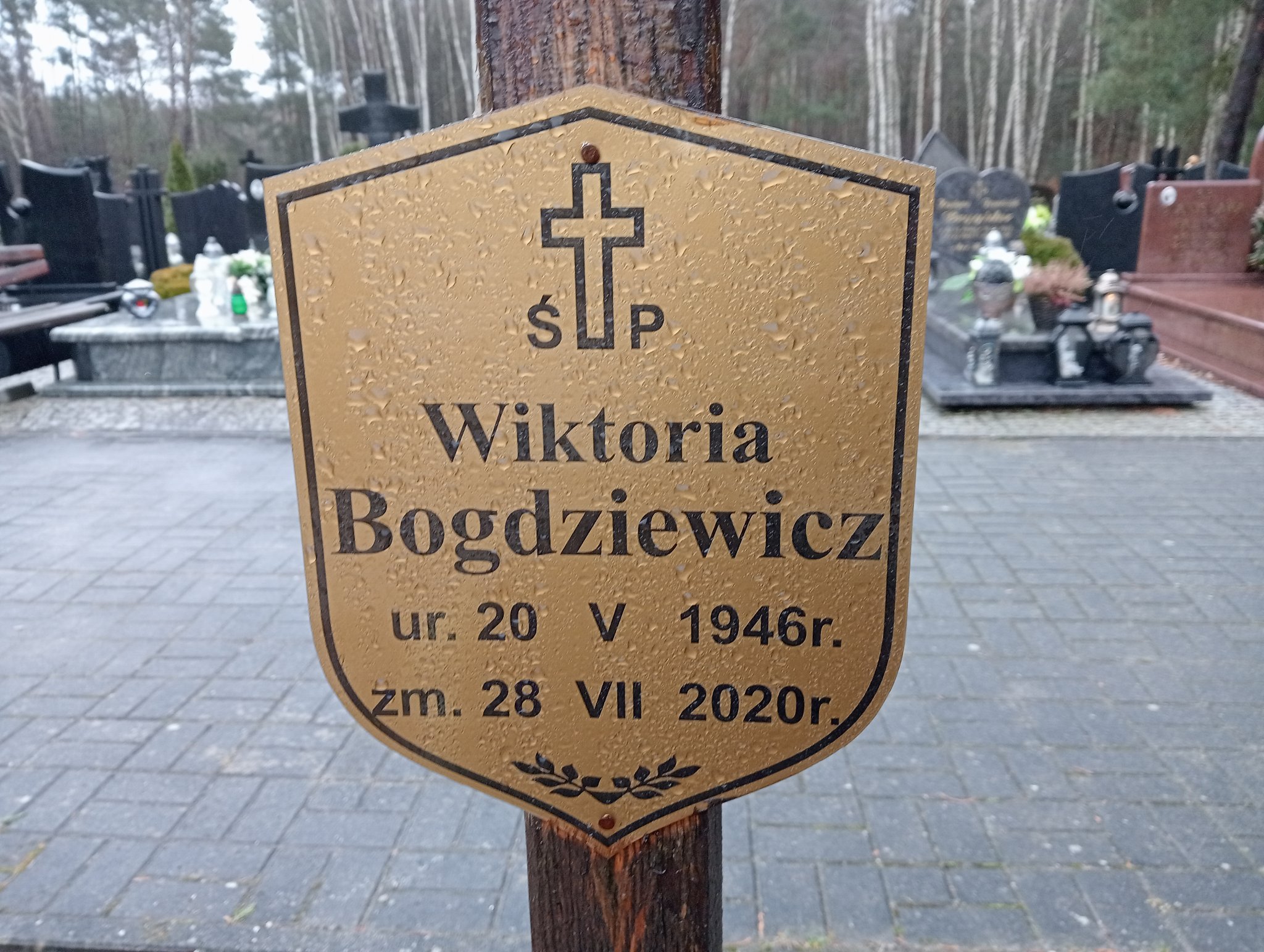 Wiktoria Bogdziewicz 1946 Żary CK 4986 - Grobonet - Wyszukiwarka osób pochowanych